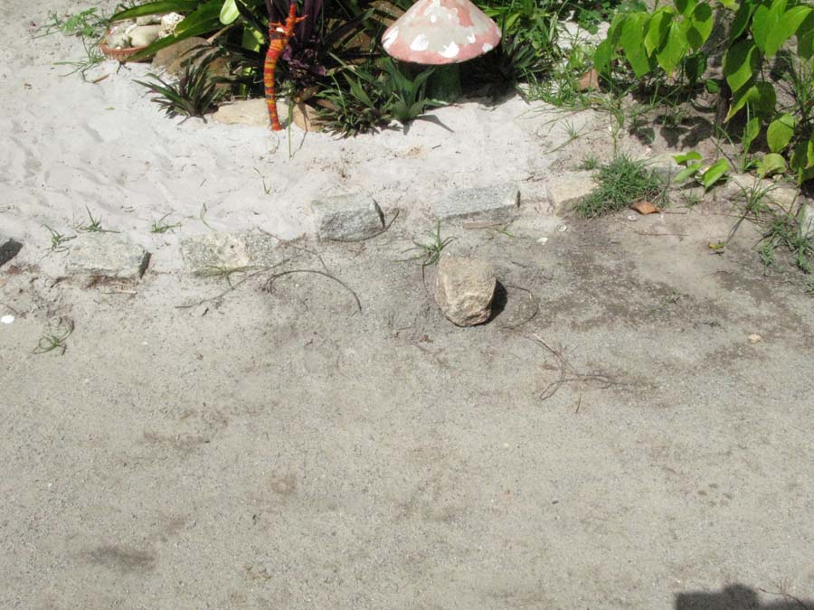 Photo 49