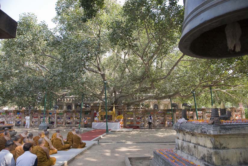 bodh_gaya__17