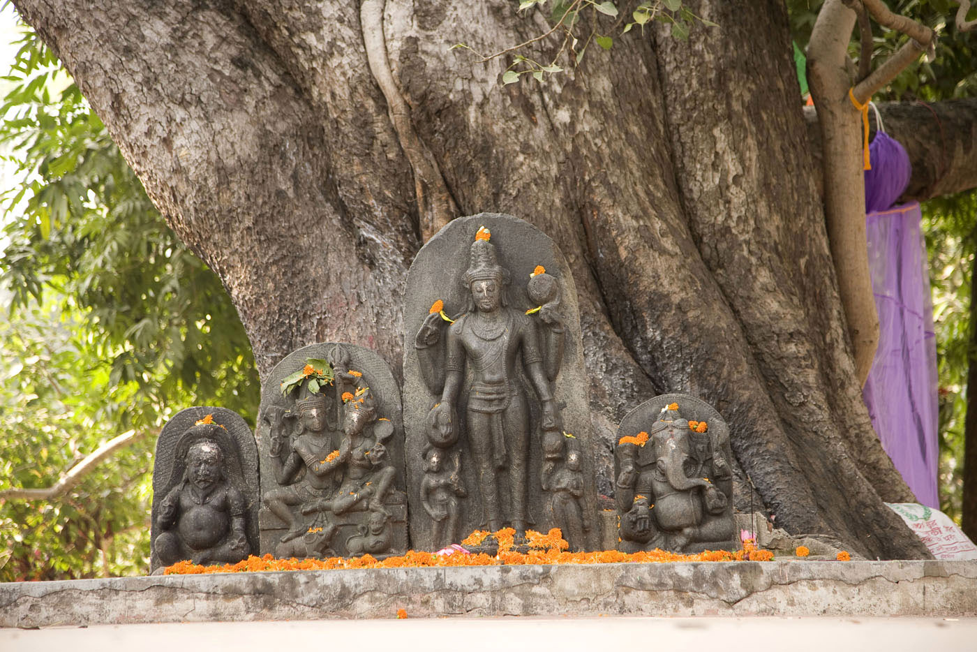 bodh_gaya__36