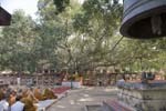 bodh_gaya__17