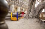bodh_gaya__19
