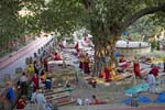 bodh_gaya__41