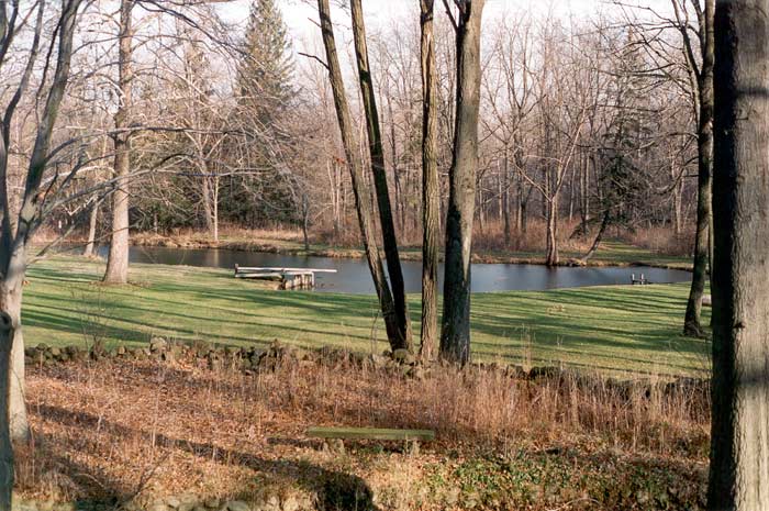 The artificial pond at the Riddle farm
