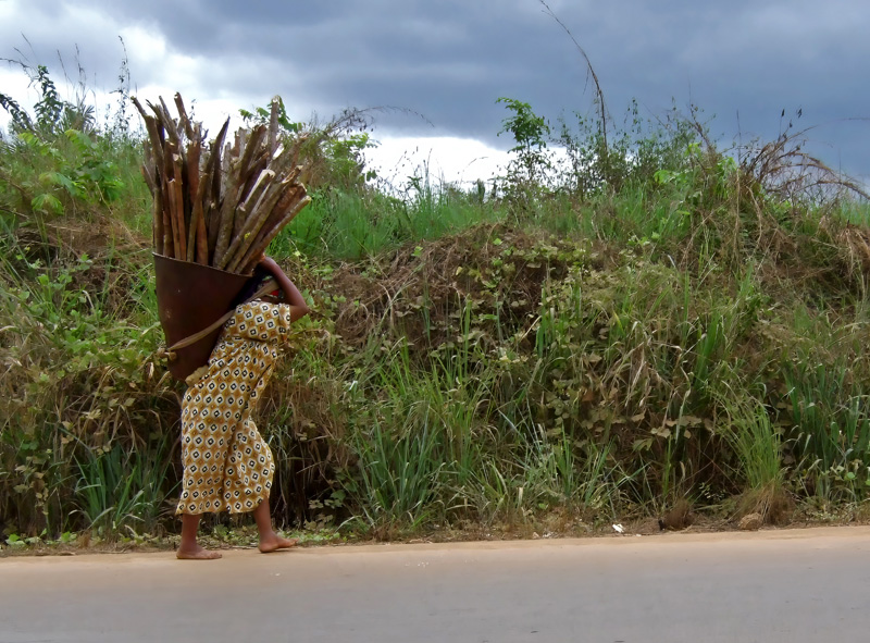 Bringing home firewood