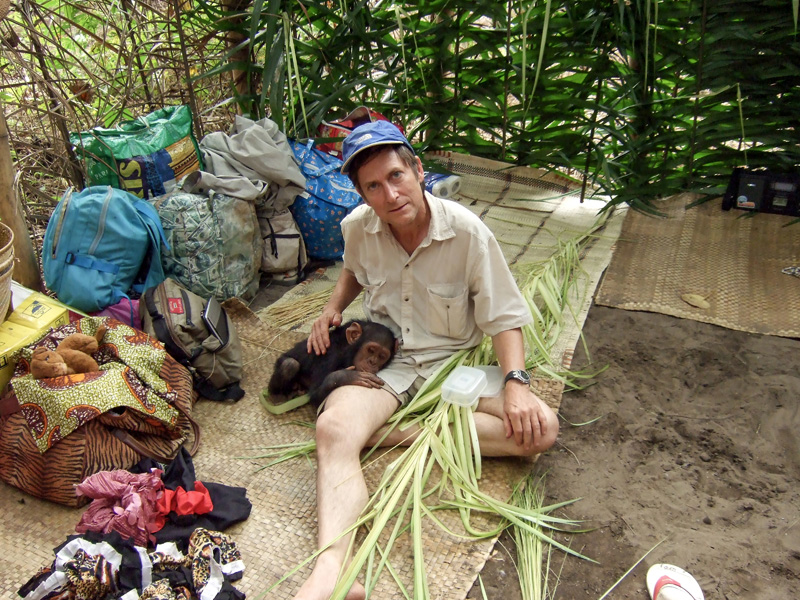 Shelter in the forest