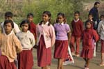 pv_school_29