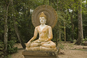 Buddha statue