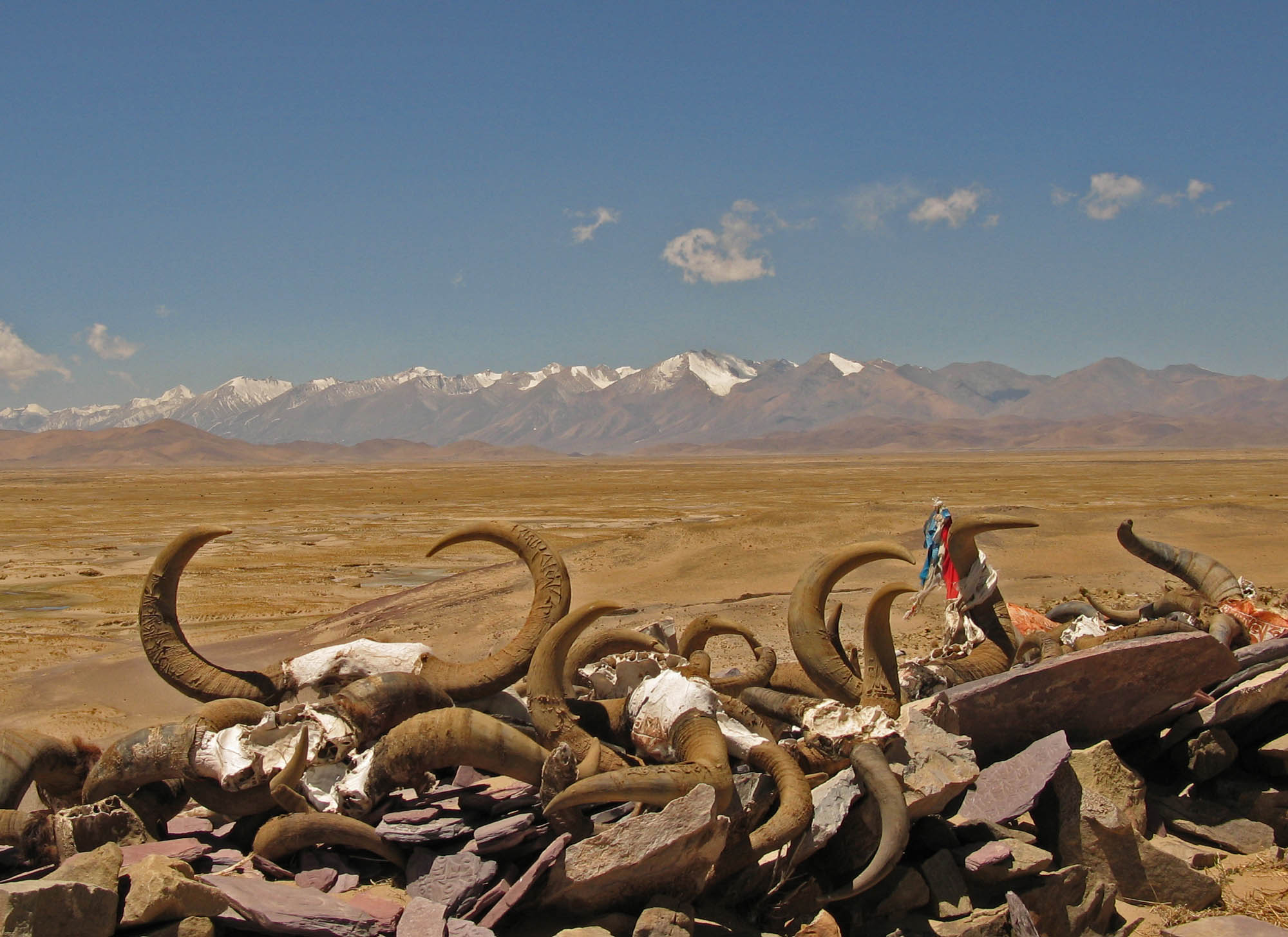 Horns on Pass on the Way to Kailash