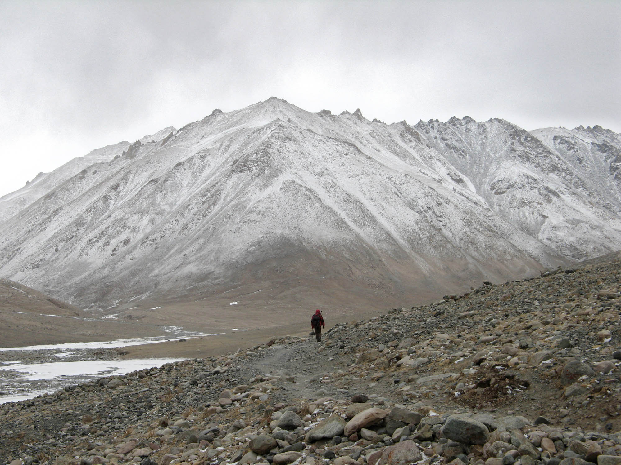 A Sherpa Takes the Lead — First Day