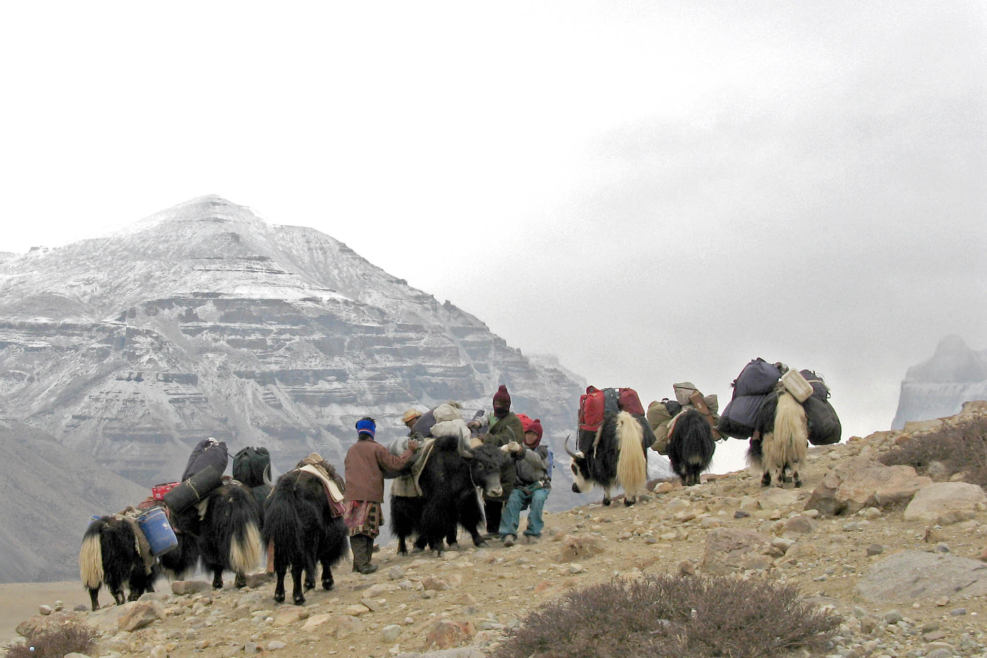 Yak Herders Adjust a Load and Ponder the Trail