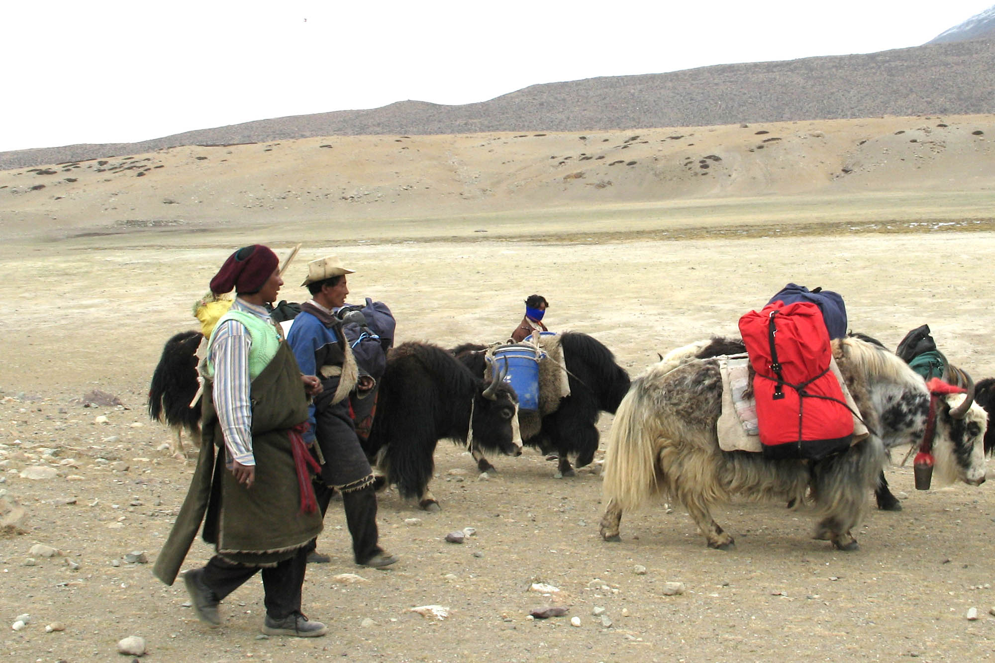 Yak Masters Guide Their Animals