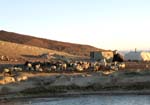 18_nomad_emcampment