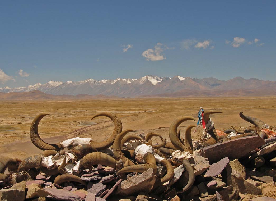 17_horns-on-pass-on-way-to-kailash