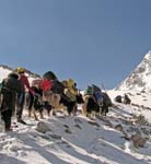 37_yak_hearders_take_lead_over_pass